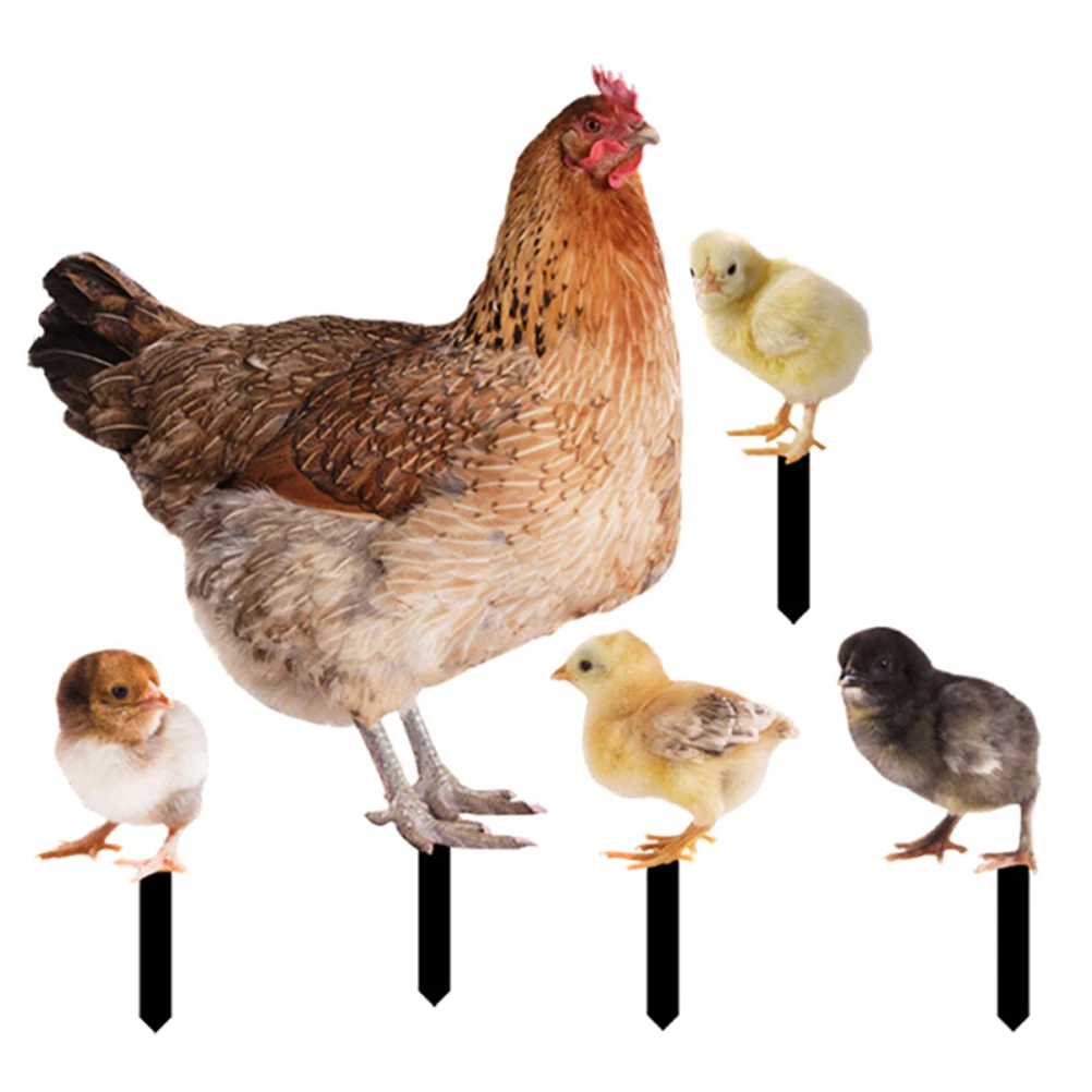 

Acrylic Chicken StakeGarden Accessory Lawn Decoration Durable Material Yard Ornament Outdoor Adornment Garden Chicken Sign Long