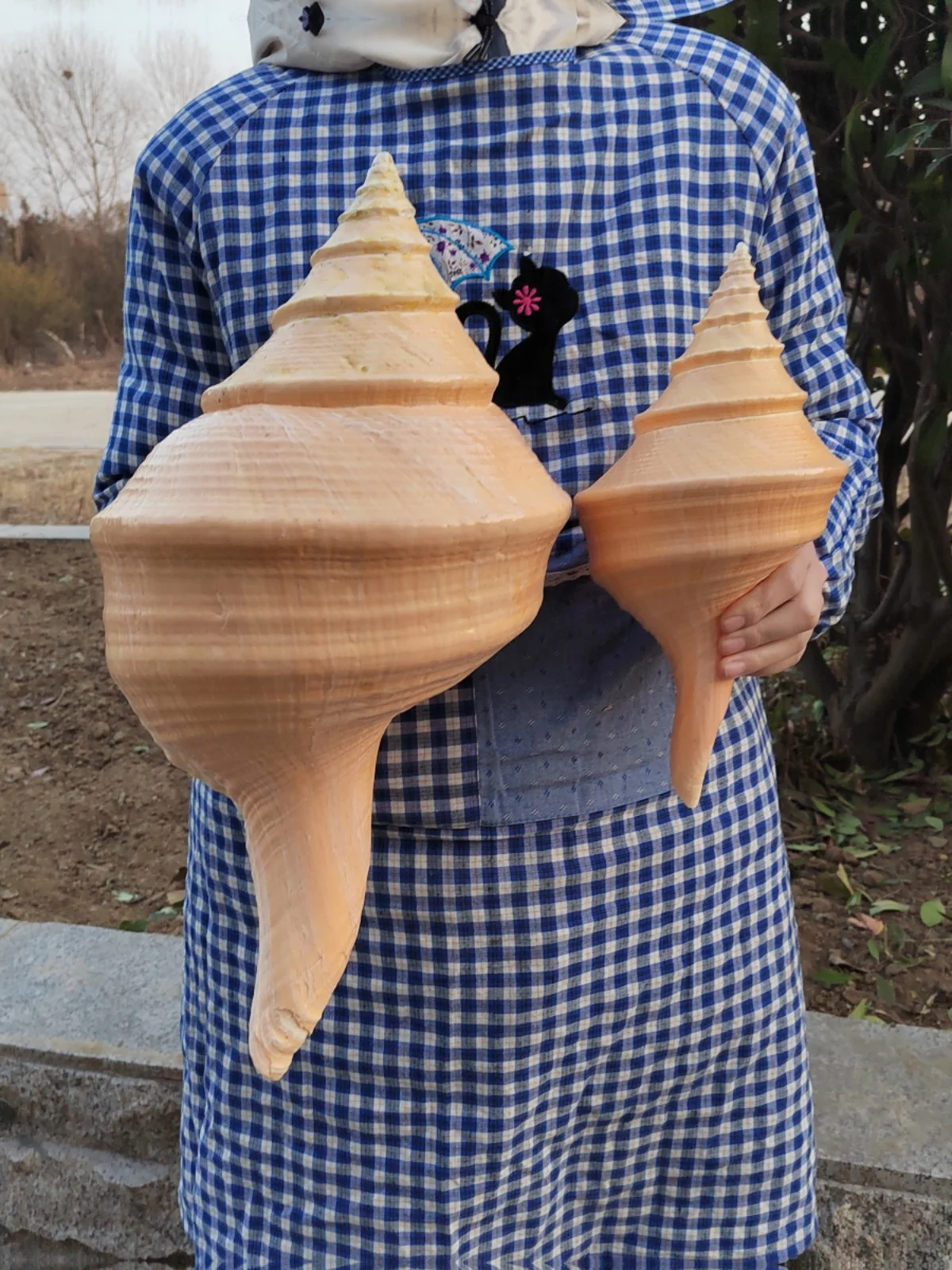 

Extra Large Natural Australian Conch Shell - Sacred and Collectible,Ideal for Decoration, Worship, and Creative Display