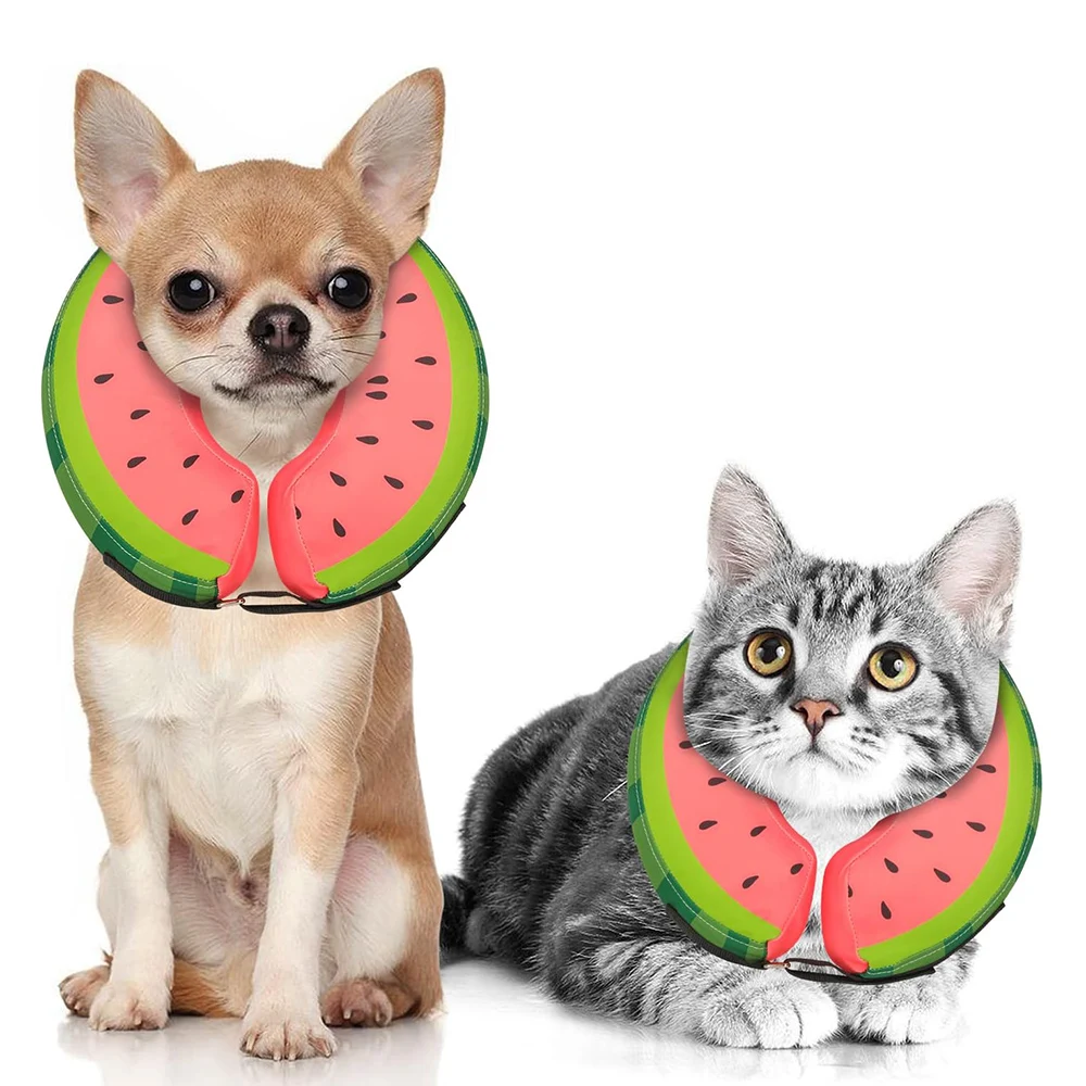 Inflatable Dog Collar Anti-bite Elizabethan Collar for Dogs Cat Recovery Neck Wound Protective Recovery Cone Dog Accessories