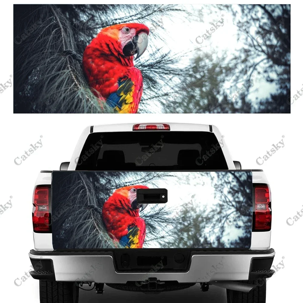 Parrot animal Car sticker rear car rear appearance modification package suitable for car truck sticker