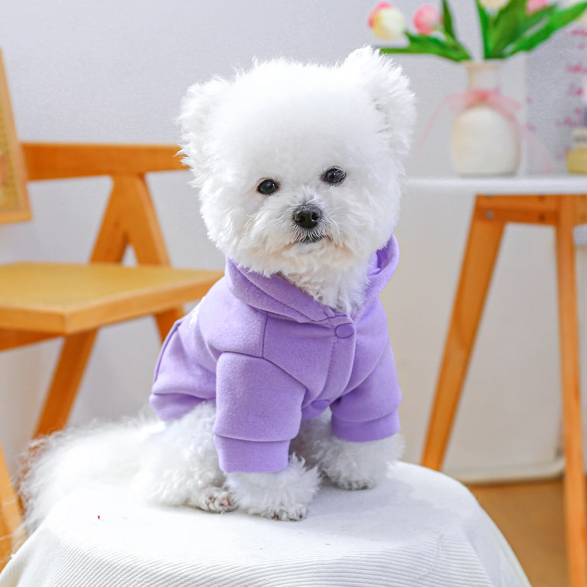 سترة ربيع نيويورك ملابس الحيوانات الأليفة الأرجوانية للكلاب والقطط سترة جيب مضادة للقطيفة