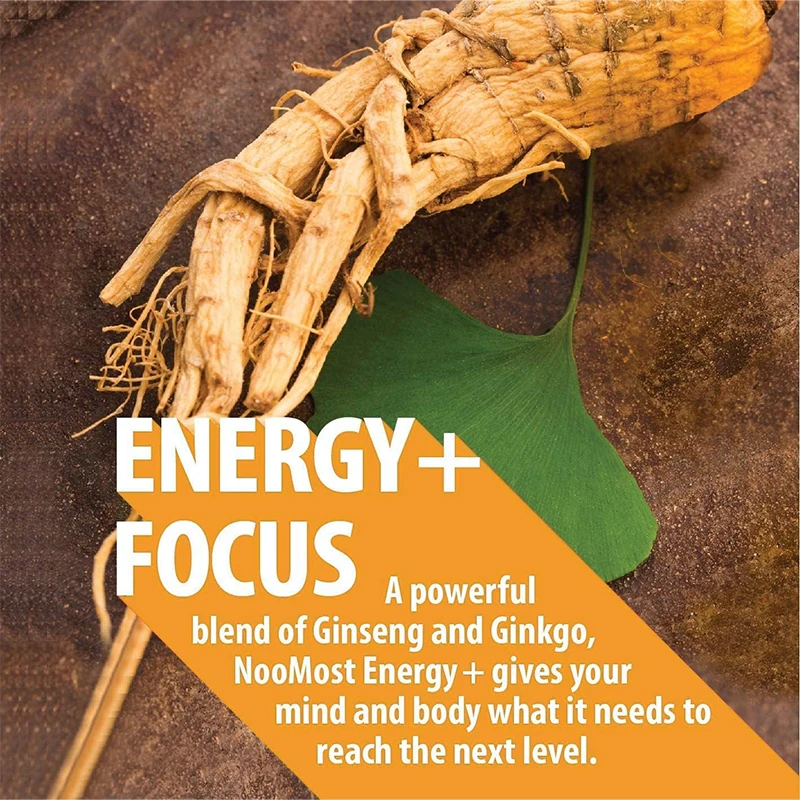 Kapsul Ginseng + Ginkgo Biloba - Ginkgo Biloba Extract ulasan dan harga