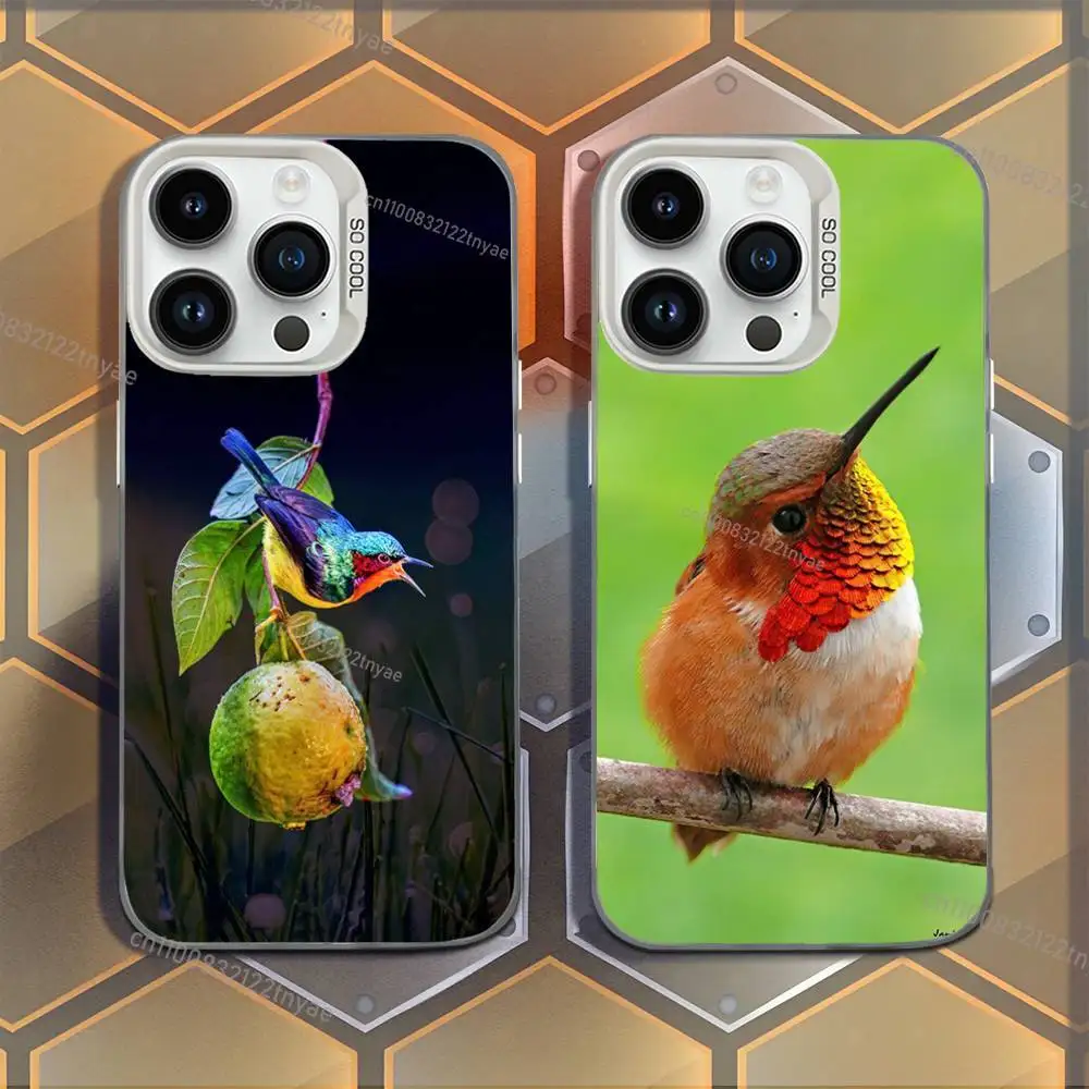 

Cute and interesting kingfisher Phone Case For iPhone 17,16,15,14,13,12,11,Mini,Pro,E,MAX White Candy Matte Shockproof Cover