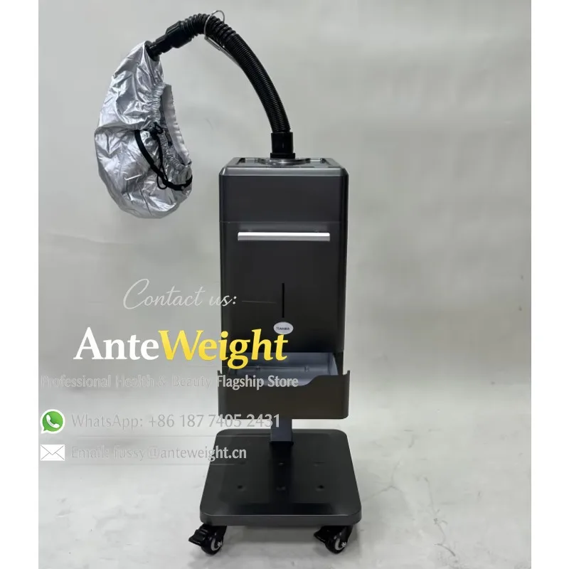 Facial Mist OZONE Steamer Salon Steamer High Quality Hair Single Hot Steamer