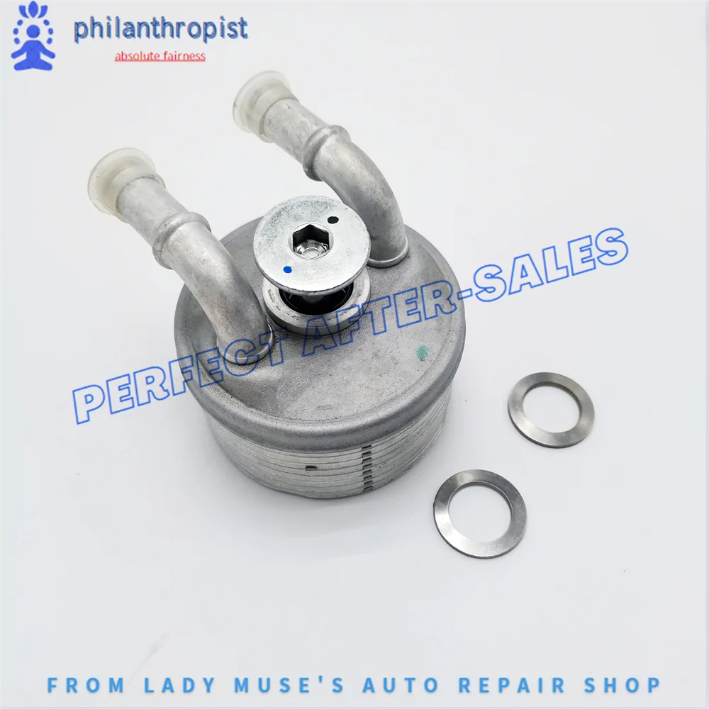 227571 3008408508 CK170131 Transmission Oil Cooler Heat Exchanger For Peugeot Citroen AL4 DP0 4 Speed Automatic