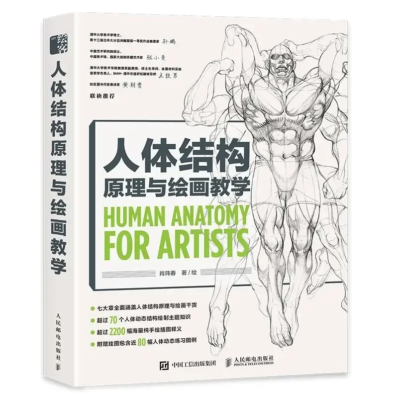 Animation Human Body Structure Expression Techniques Special Training Book Anime And Manga Human Body Drawing Tutorial Book