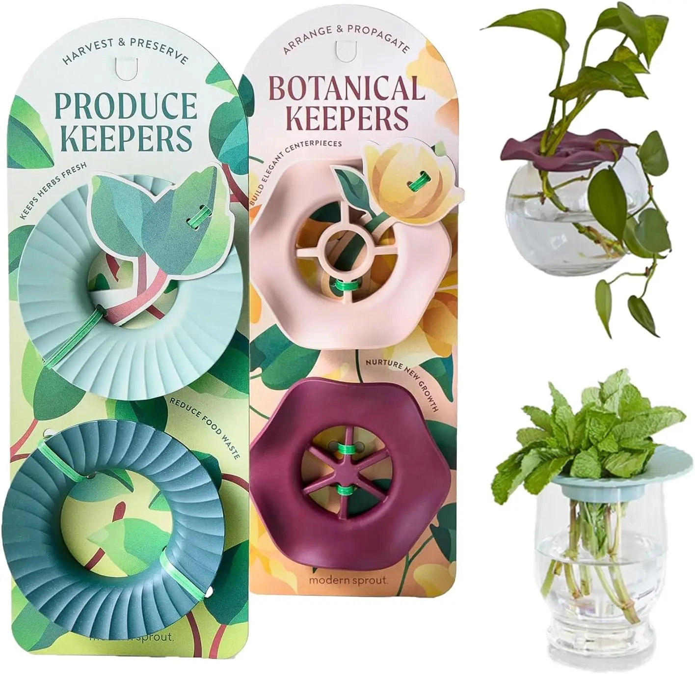 

Botanical and Produce Keeper for Floral Arranging, Herb Keeping, and Plant Propagation - Food Safe and BPA-Free, Sustain