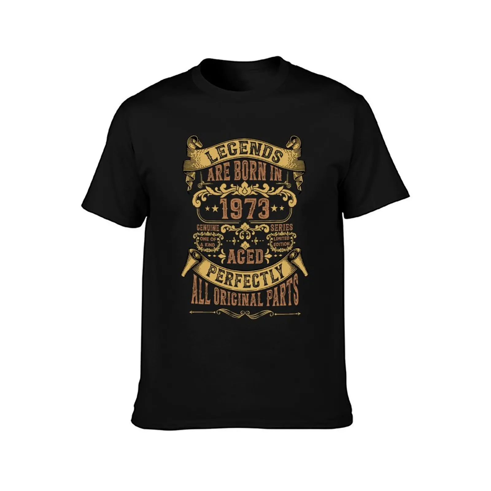 Legends are born in 1973 Birthday retro Vintage birthday gift ideas T-Shirt Plus Size Gym Sports T-Shirt