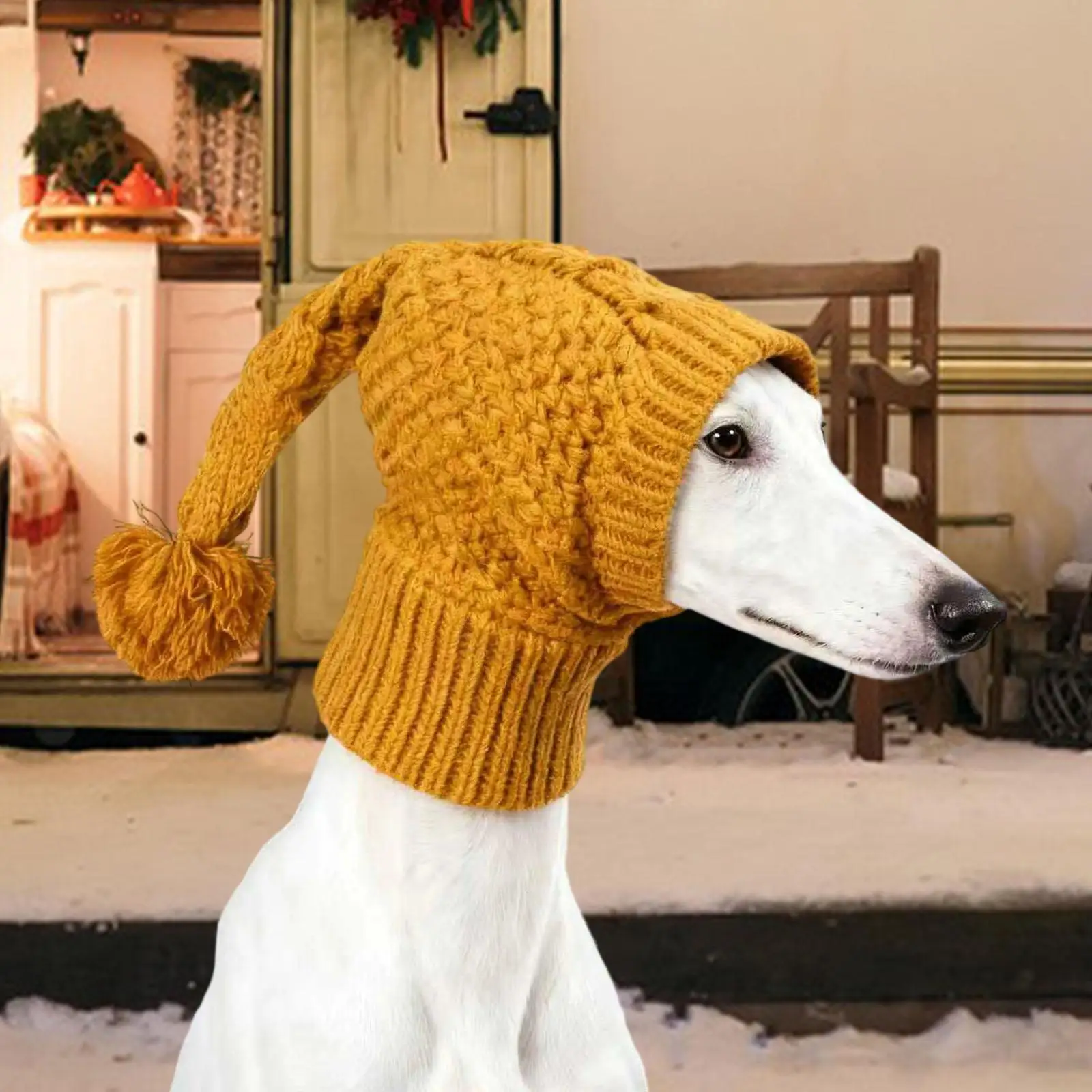 Dog Hat Crocheted S…