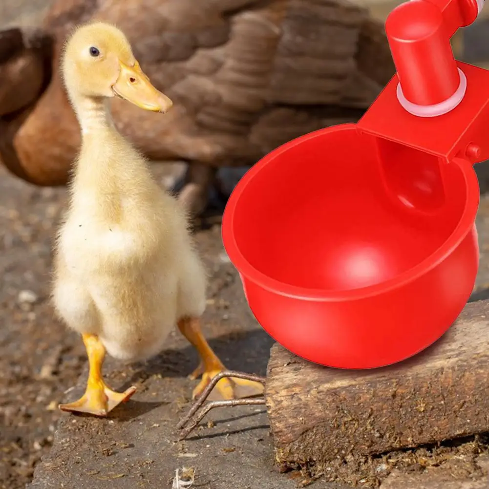 Unique Practical Food-grade Chicken Feeder Reusable Chicken Waterer Universal Rounded Edge Chicken Waterer for Poultry