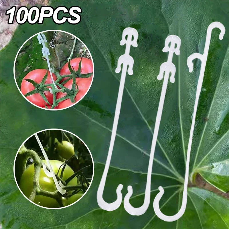 

J Shaped Cherry Tomato Hooks Garden Vegetable Grape Plant Support Fastener Clips Fixed Hooks for Prevent Tomato Fruit Cluster