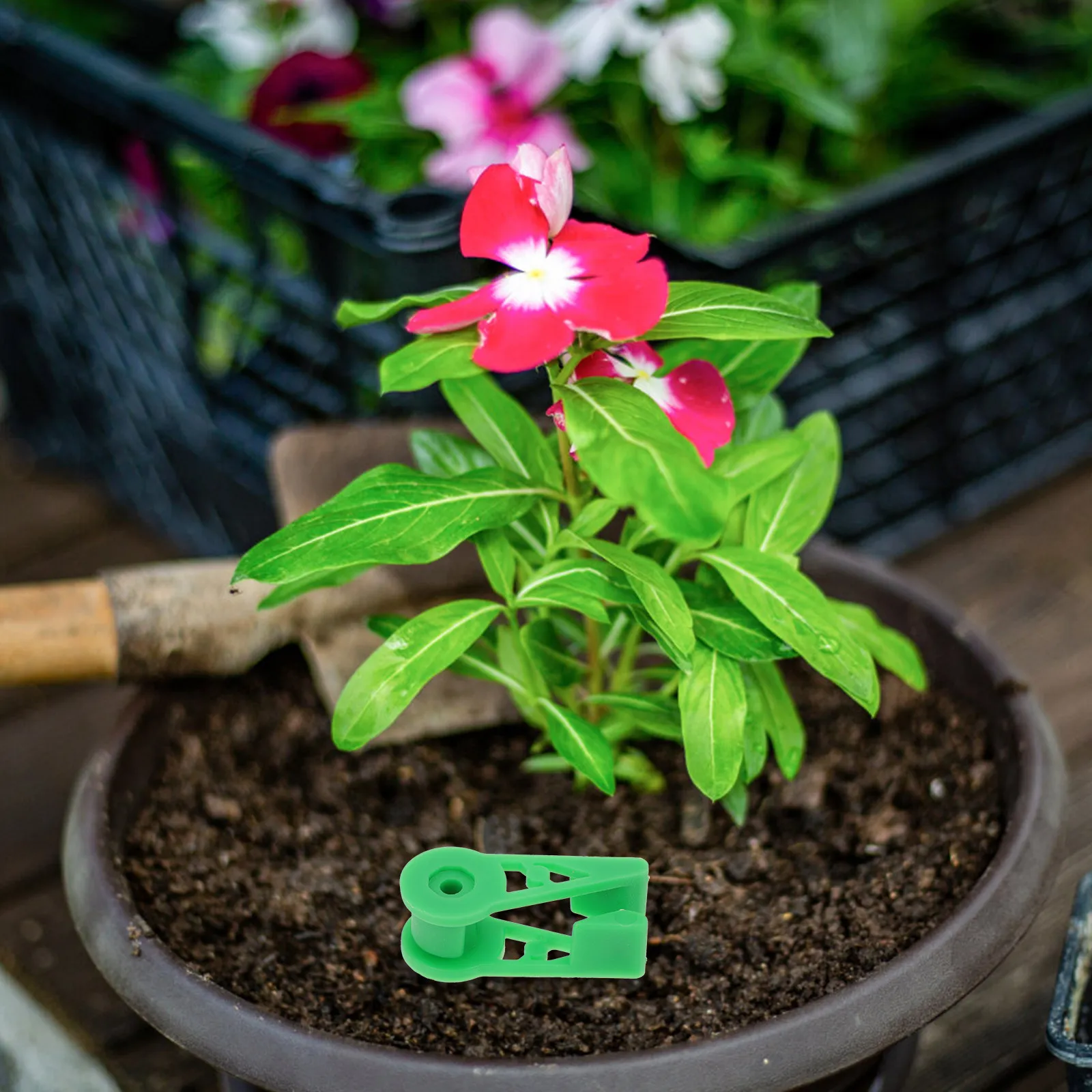 20Pcs Adjustable 360 Degree Plastic Plant Bender Clips for Fruit Trees Flowers Vegetables Branch Shaping Stress Training