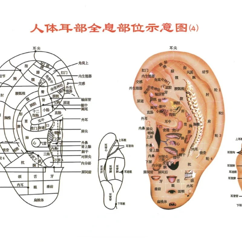 中国医学磁気治療カッピング装置のフラットヘッド気と血液トング特殊なタンク27缶アルミ合金ハードカバー