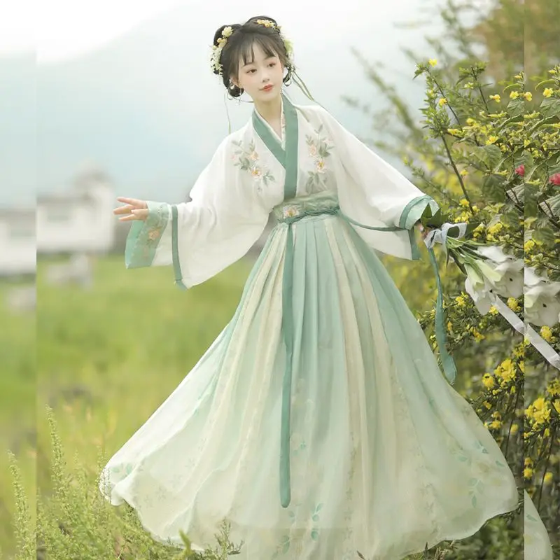 Saia Hanfu bordada original e autêntica para adultos, sistema Jin saia de cintura fluindo, estilo chinês, diária, primavera e outono, feminina