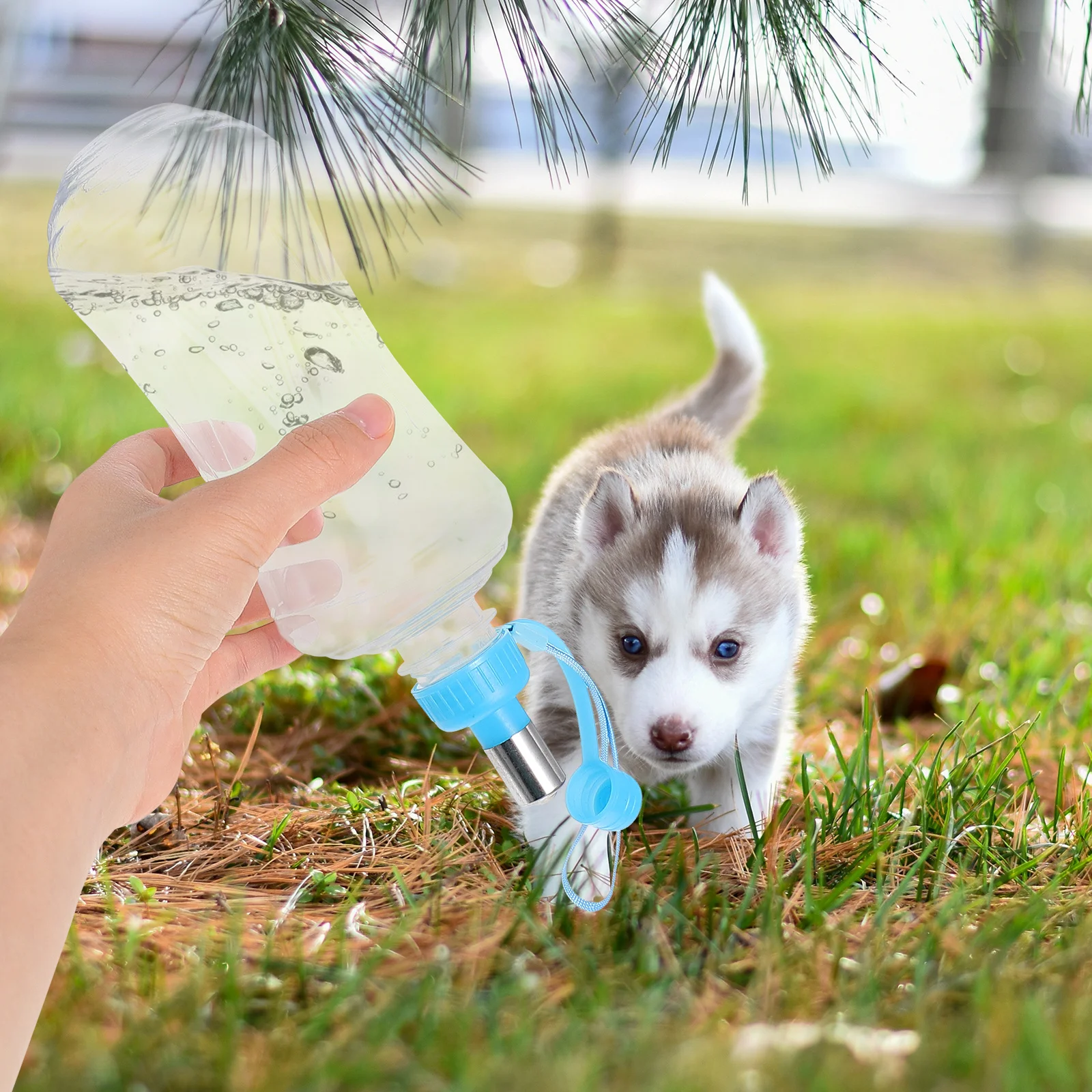 

2Pcs Outdoor Portable Leak Proof Pet Water Bottle Caps for Dog Cat Rabbit Small Animal Kettle Lid Dog Water Bottle Cap