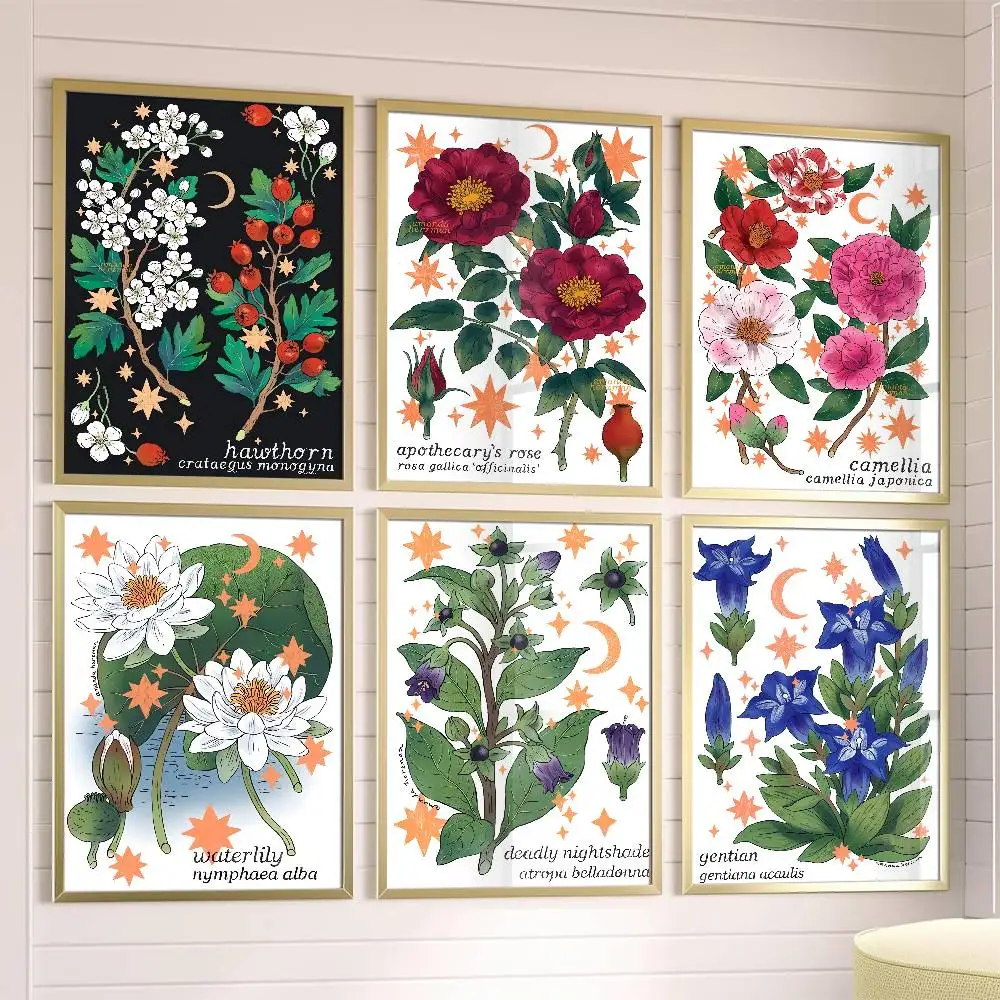 

Boho Botanical Plant Poster Posters,waterproof Paper Stickers,coffee Shops,bar Living Rooms