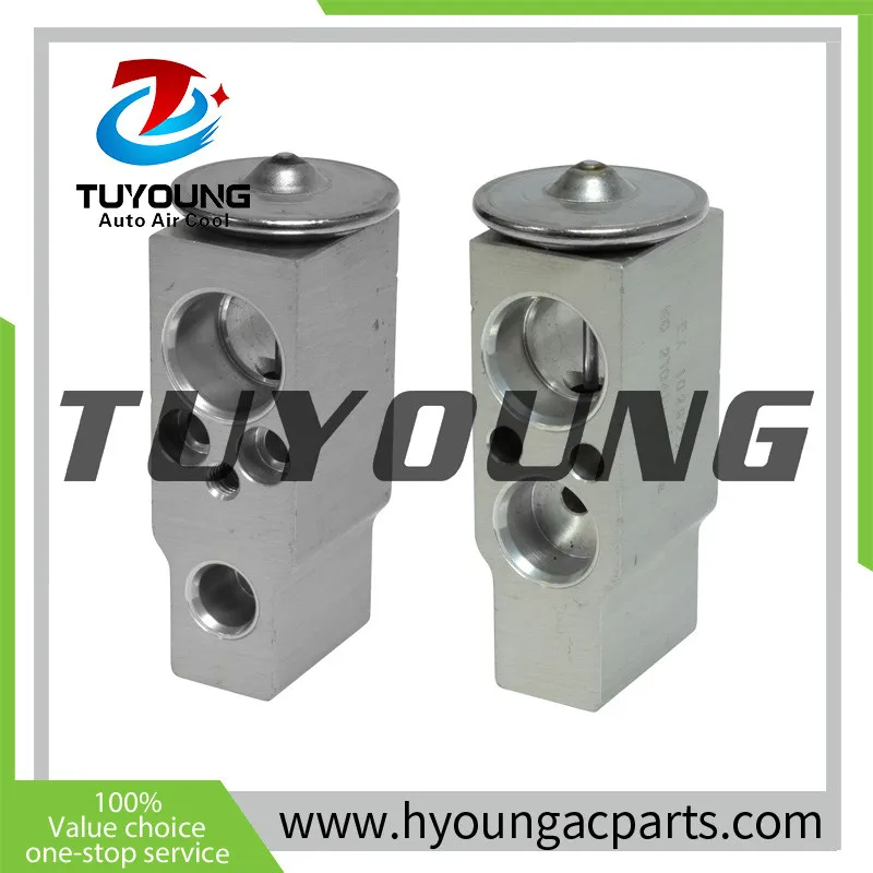 

TUYOUNG brand new Auto AC Expansion Valve for Cadillac FOR Ford for Toyota V6 V8 3.0 3.6 6.2L 2004-2020 8851533020