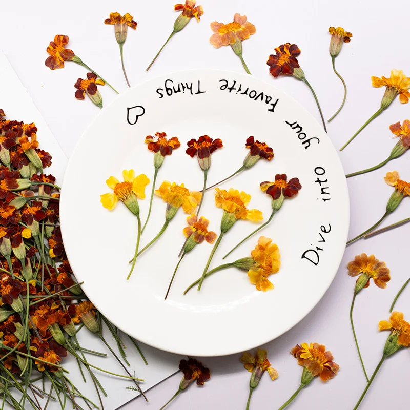 100 Stuks Goudsbloem Echte Blo - Dried Flower Pressed recensie en prijs