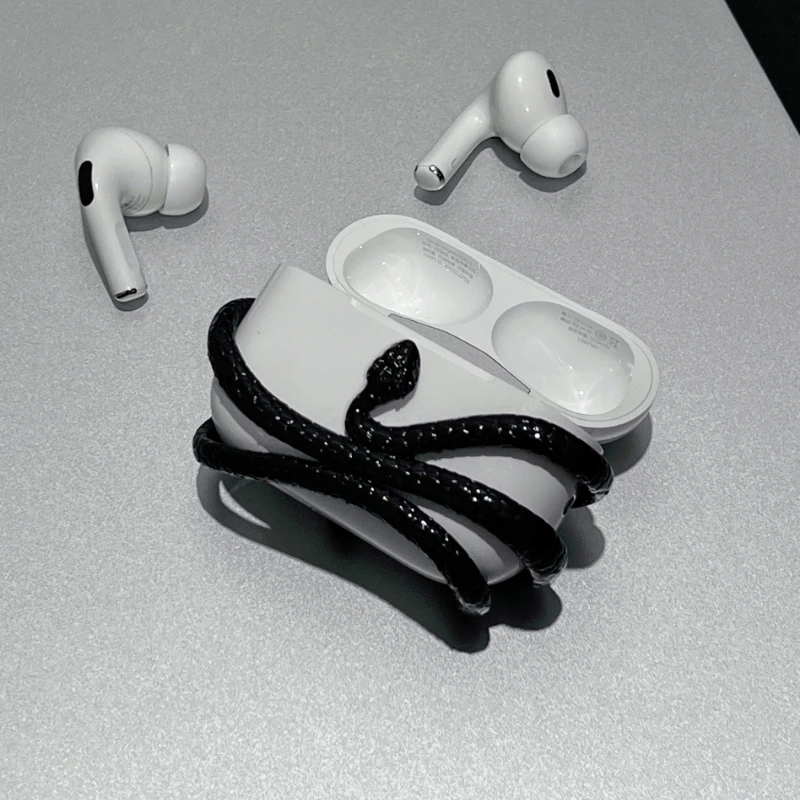 Airpods Pro 2 Earphone Case Original Design Black Snake Earphone Decorative Resin 3D Printing Earphone Protective Cover Gifts