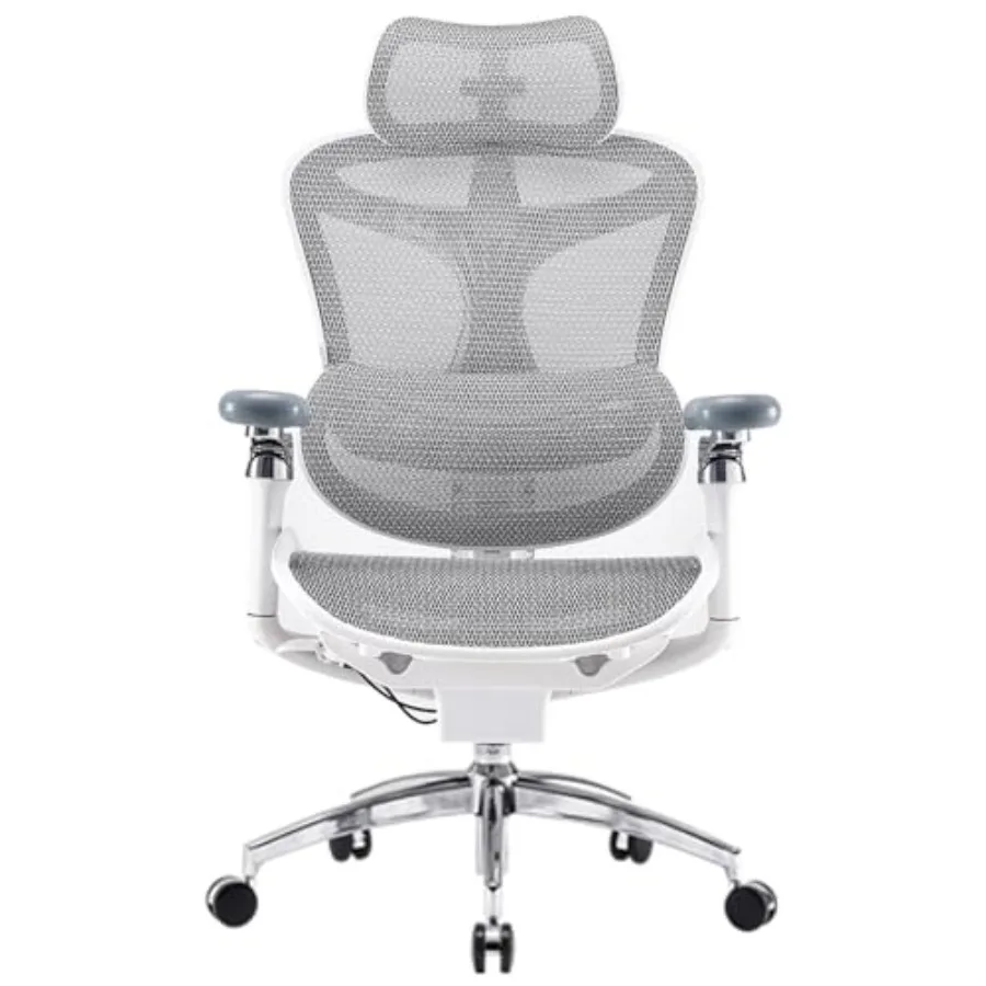Ergonomic office chair for daily work use, premium mesh back and padded seat in black, ultra-soft 6D adjustable armrests for en