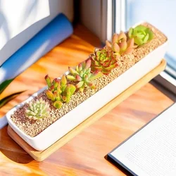 Long Rectangle White Ceramic Succulent Planter Pot with Bamboo Tray Small Cactus Plant Pots Holder Bonsai Flowerpot Home Decor