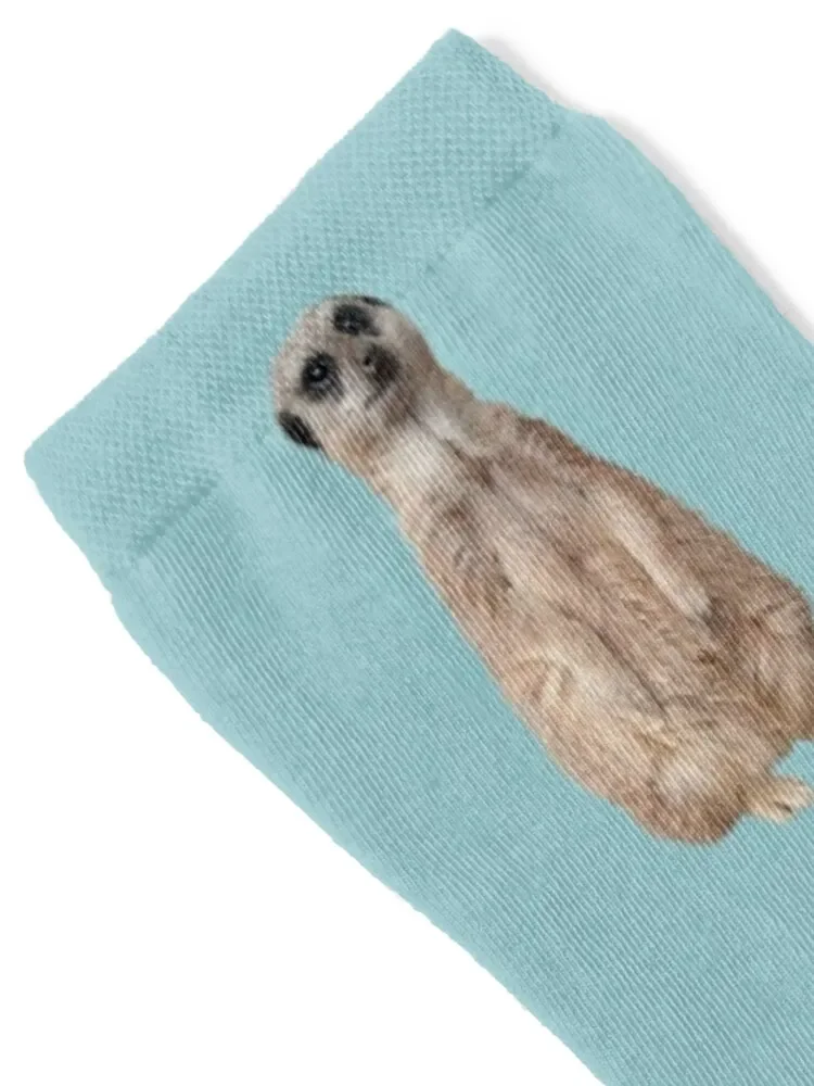 Meerkat - Cute meerkat watching the view -Blue background Socks Stockings compression gym New year's Socks Woman Men's