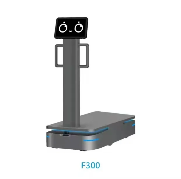 Autonomous Cargo Transport Robot F300, Intelligent Warehouse AGV with Smart Navigation, Heavy Load Capacity for Logistics