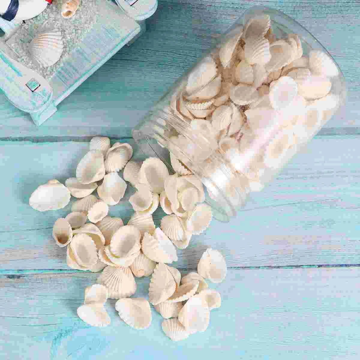 Sea Shells Charms Fish Tank Accessories Jewelry White Spiral Seashells for Crafts DIY Scallop Pendant