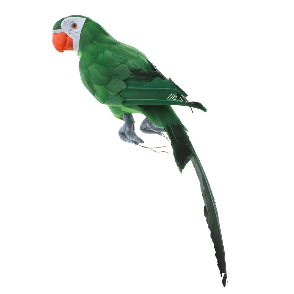 

Искусственный птица-попугай 45 см, реалистичный домашний декор, таксидермия волнистых попугаев