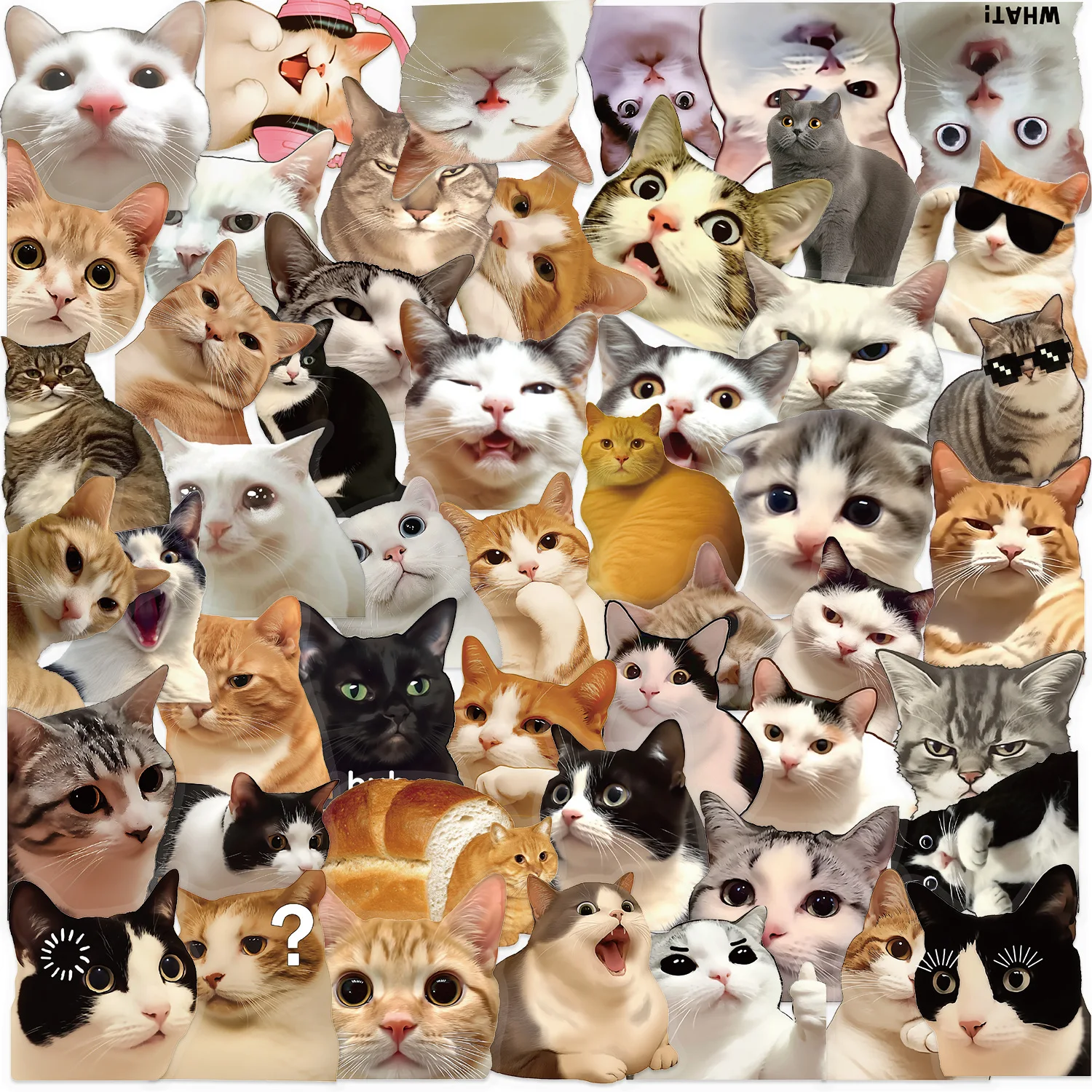 50/100PCS Cartoon Funny Cat Transparent PET Stickers DIY Laptop Scooter Stationery Notebook Stickers Waterproof