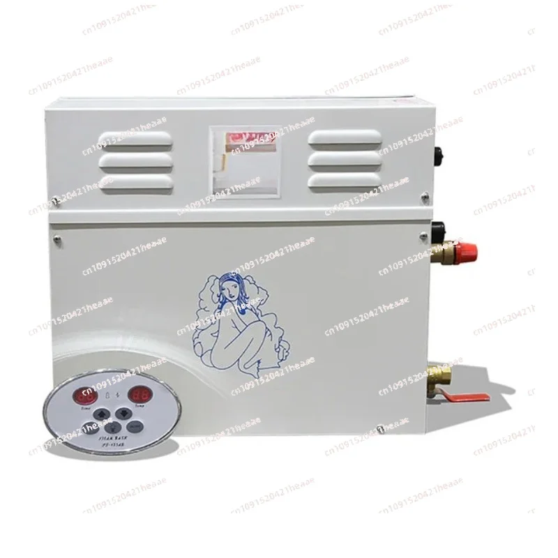 Suitable for 220V With Digital Controller3KW/4.5KW Steam Generator  Machine Fumigation Machine