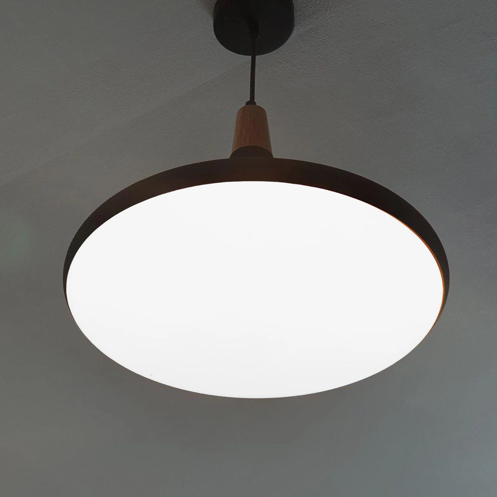 

Acrylic Lampshade Diffuser Panel Round Fixture Cover Frosted Light Filter Sheet Replacement For Ceiling Pendant Lights Lighting