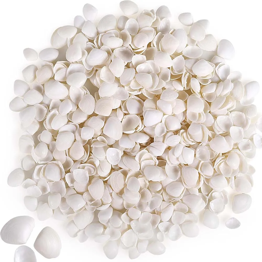 30g About100pcs Natural Tiny Small Sea Shells White Snowbell Clam Shells for DIY Craft, Jewelry Making, Home Decor, Vase Fillers