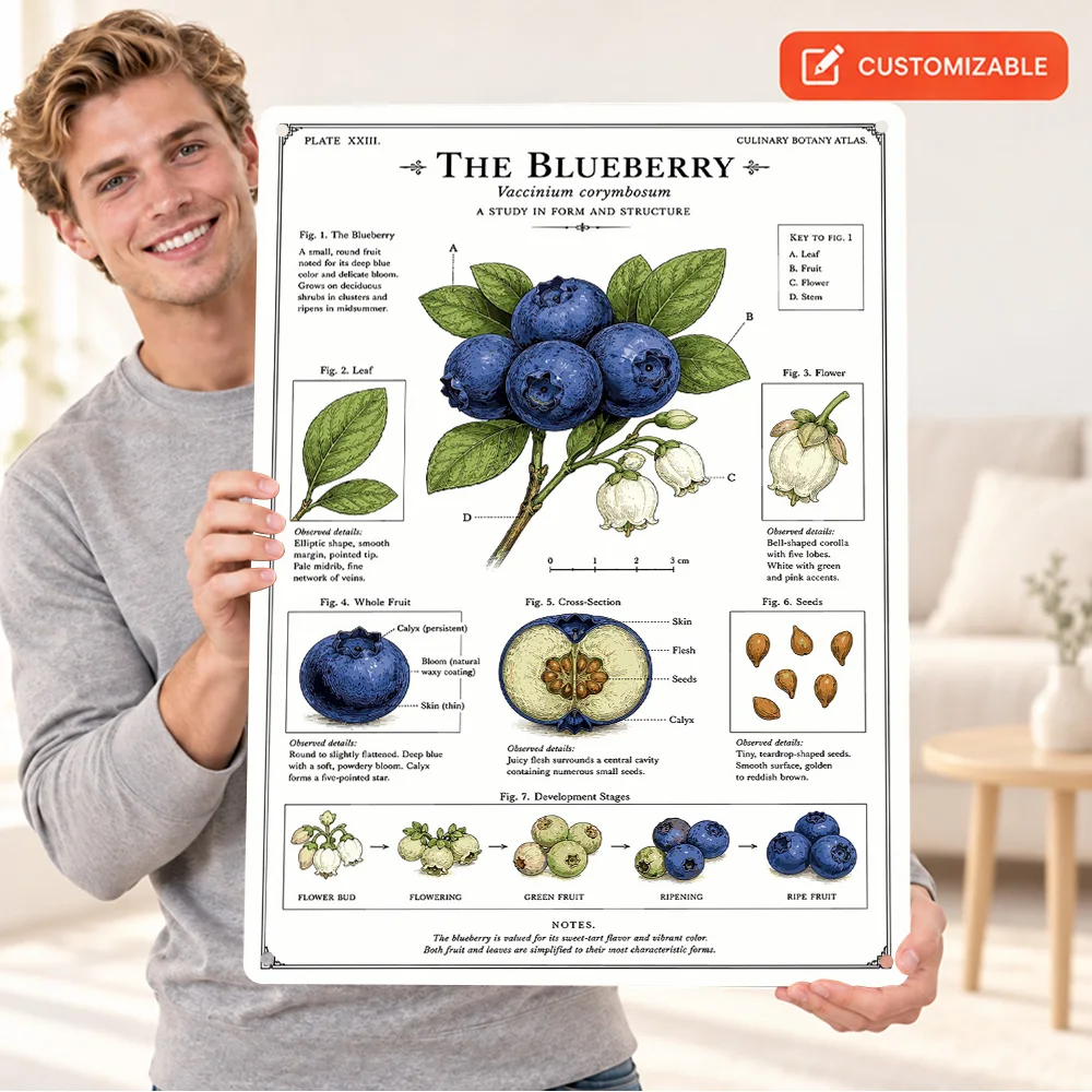 Botanical Illustration Of The Blueberry Printed Poster Bold Design Bedroom Wall Art Customized Aluminum Metal Sign Unique Gift