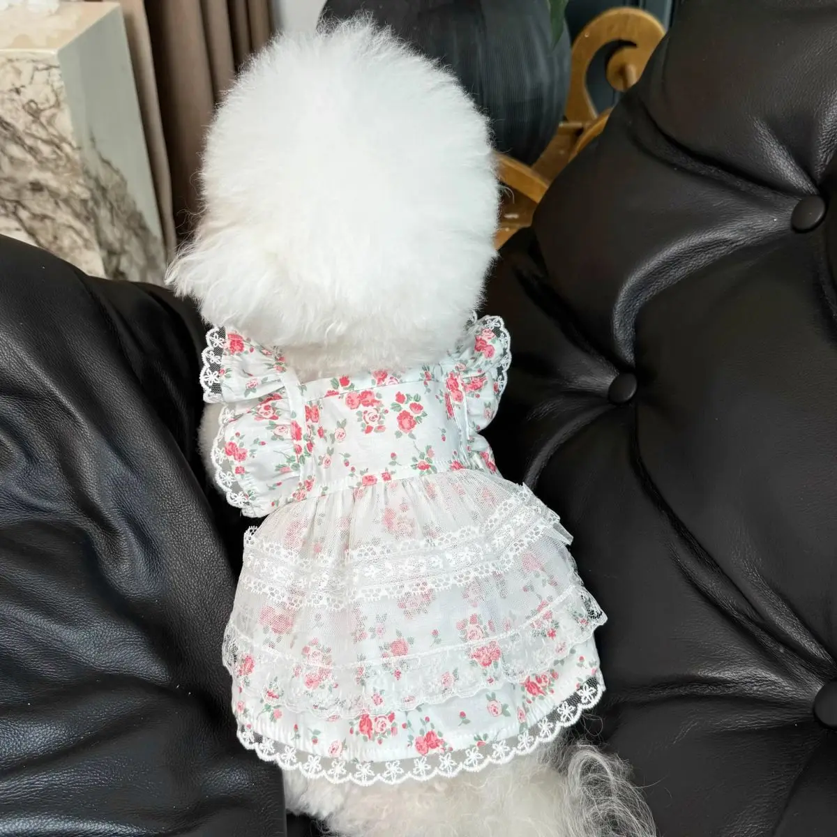 

Floral Dog Dress with Lace Ruffles And Red Rose Pattern
