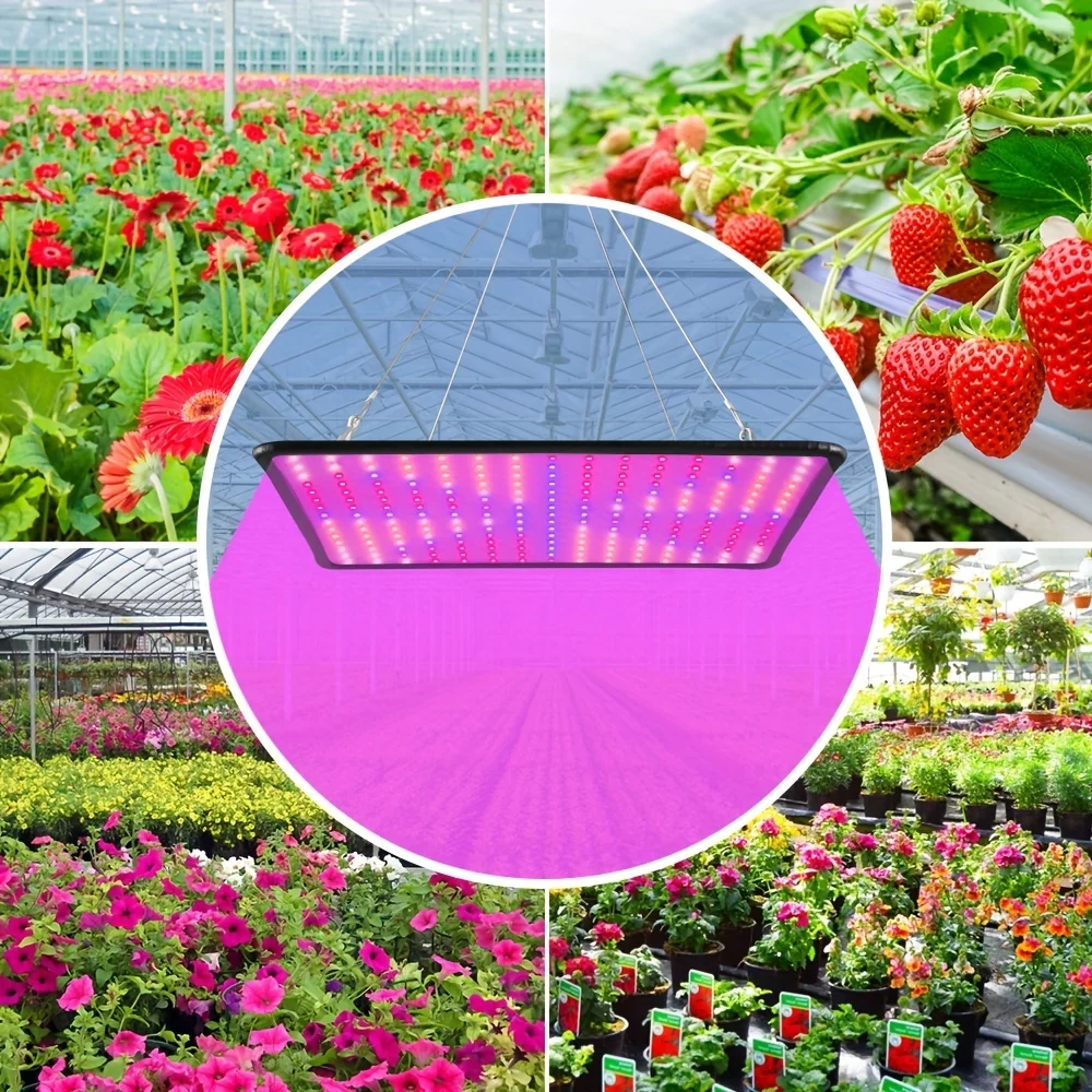 Imagem -03 - Full Spectrum Led Grow Light para Plantas de Interior Hidroponia Crescimento Lâmpada Quantum Board Cultivo de Flores e Sementes 2000w