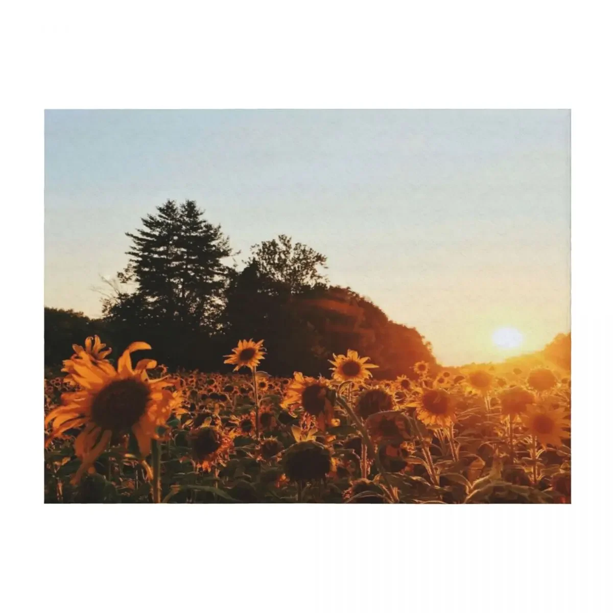 

Sunflower Field Throw Blanket Thermal Soft Plush Plaid Sofa Hair Blankets