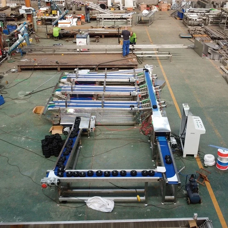 Machine de tri de fruits, pesage de pêches, machine de tri