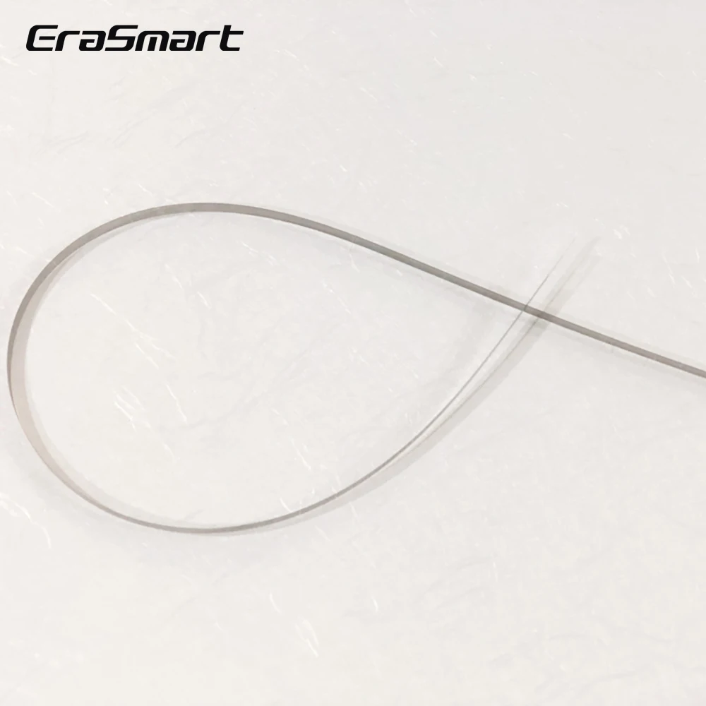 EraSmart 1390 L1800 Raster Encoder Grating Strip