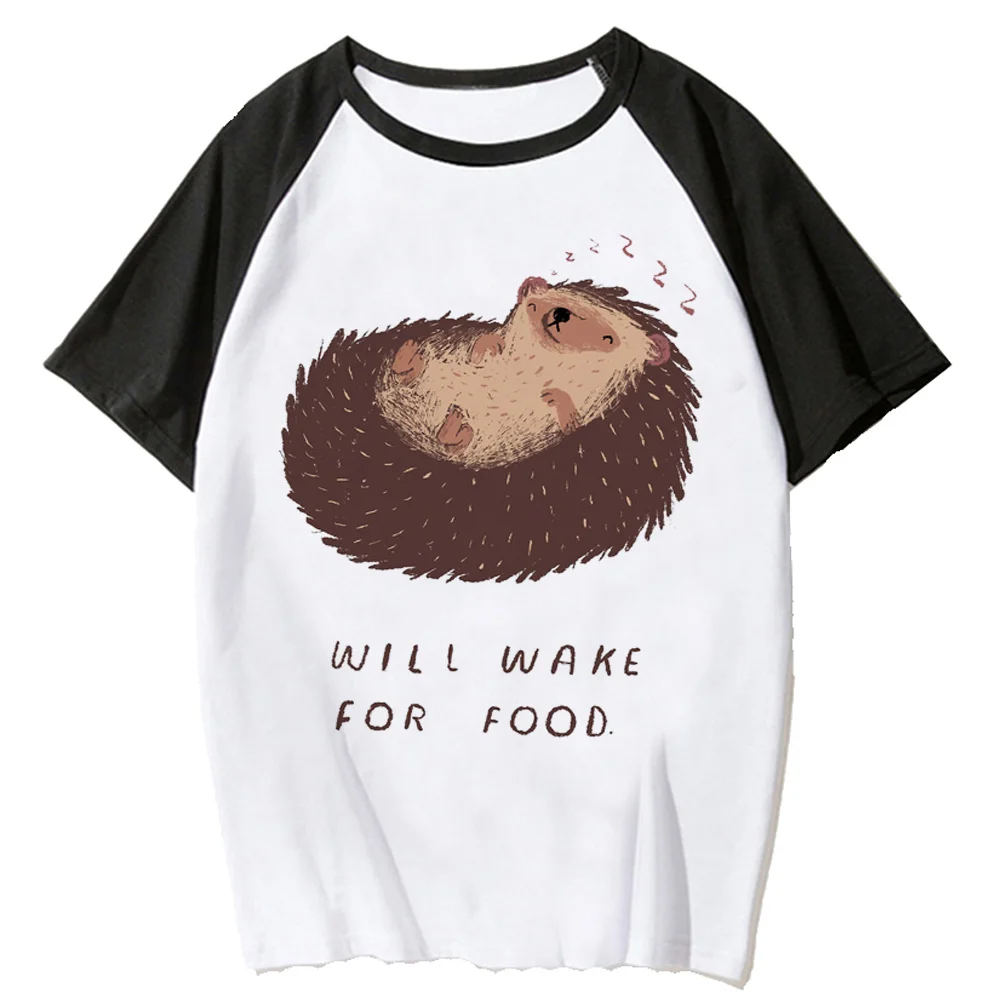 Hedgehog t-shirts women designer comic t-shirts female 2000s anime y2k clothing