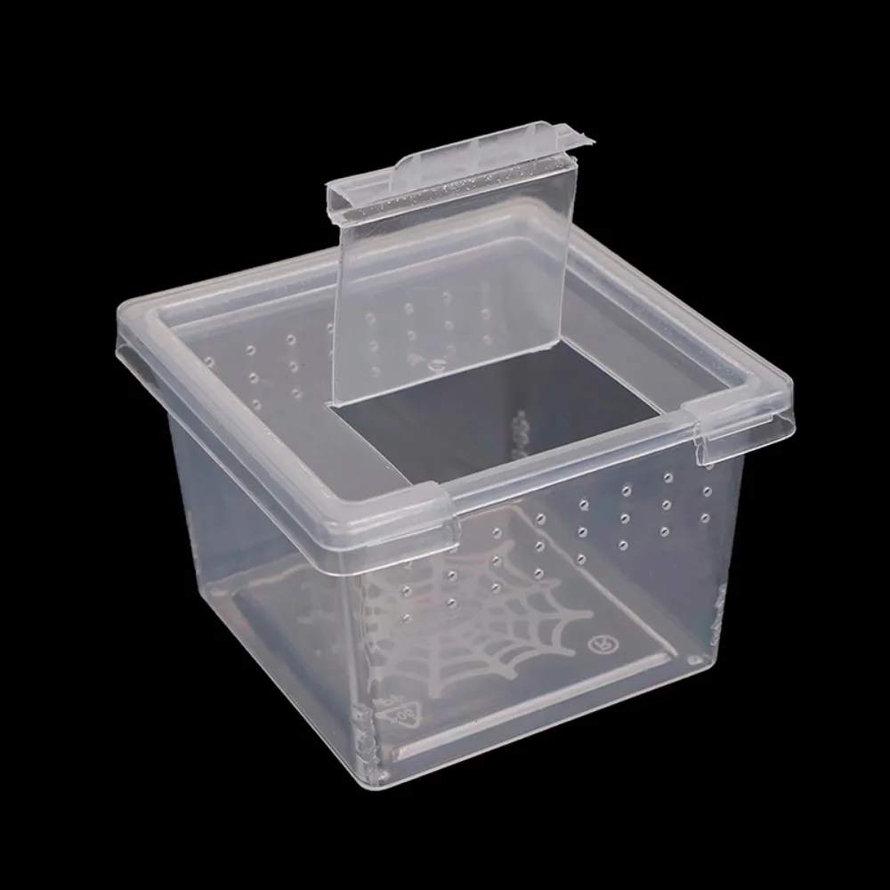 1Pc Plastic Reptiles Living Box Transparent Reptile Terrarium Habitat for Scorpion Spider Ants Lizard Breeding Feeding Case