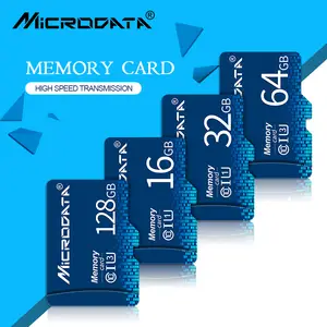 Gigastone Carte Mémoire 64 Go Lot de 10 Cartes, Compatible avec Gopro