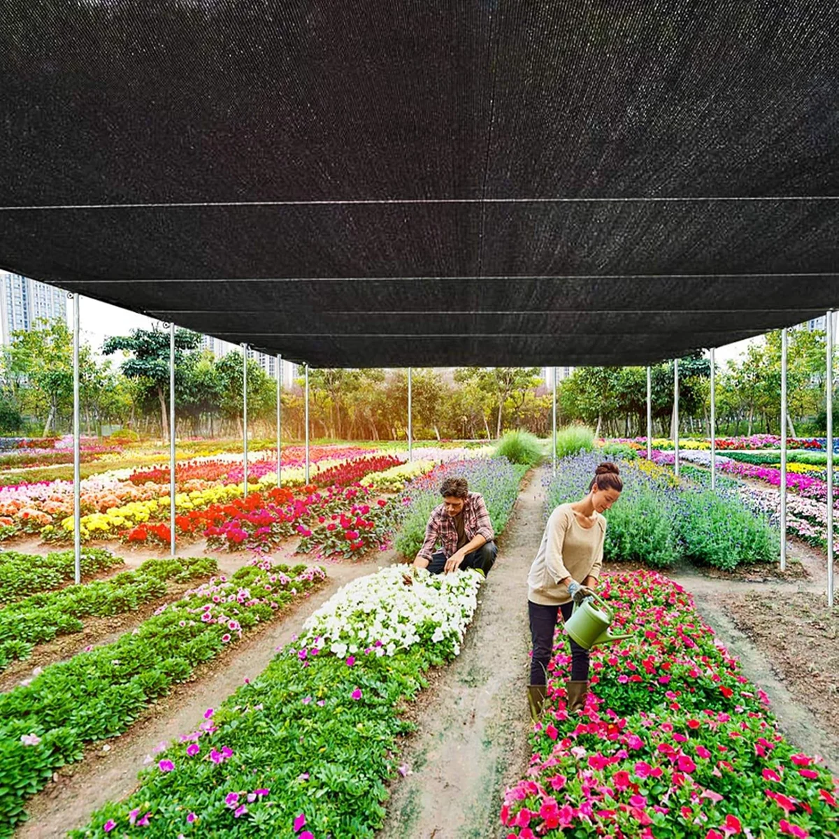 

UV Resistant 60% Black Woven HDPE Agricultural Sun Shade Net for Garden Greenhouse Rectangle Shape Customized Shade Sails Nets