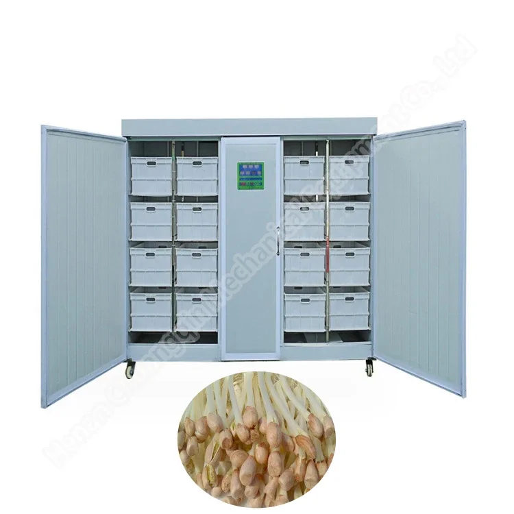 Sprout Growing Container Mung Bean Sprouts Making Soybean Sprouting Machine Price