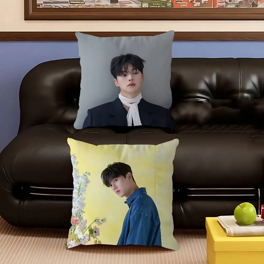 S-SONG KANG وسادة هدية ديكور مكتب المنزل وسادة غرفة نوم أريكة غطاء وسادة السيارة كيس وسادة