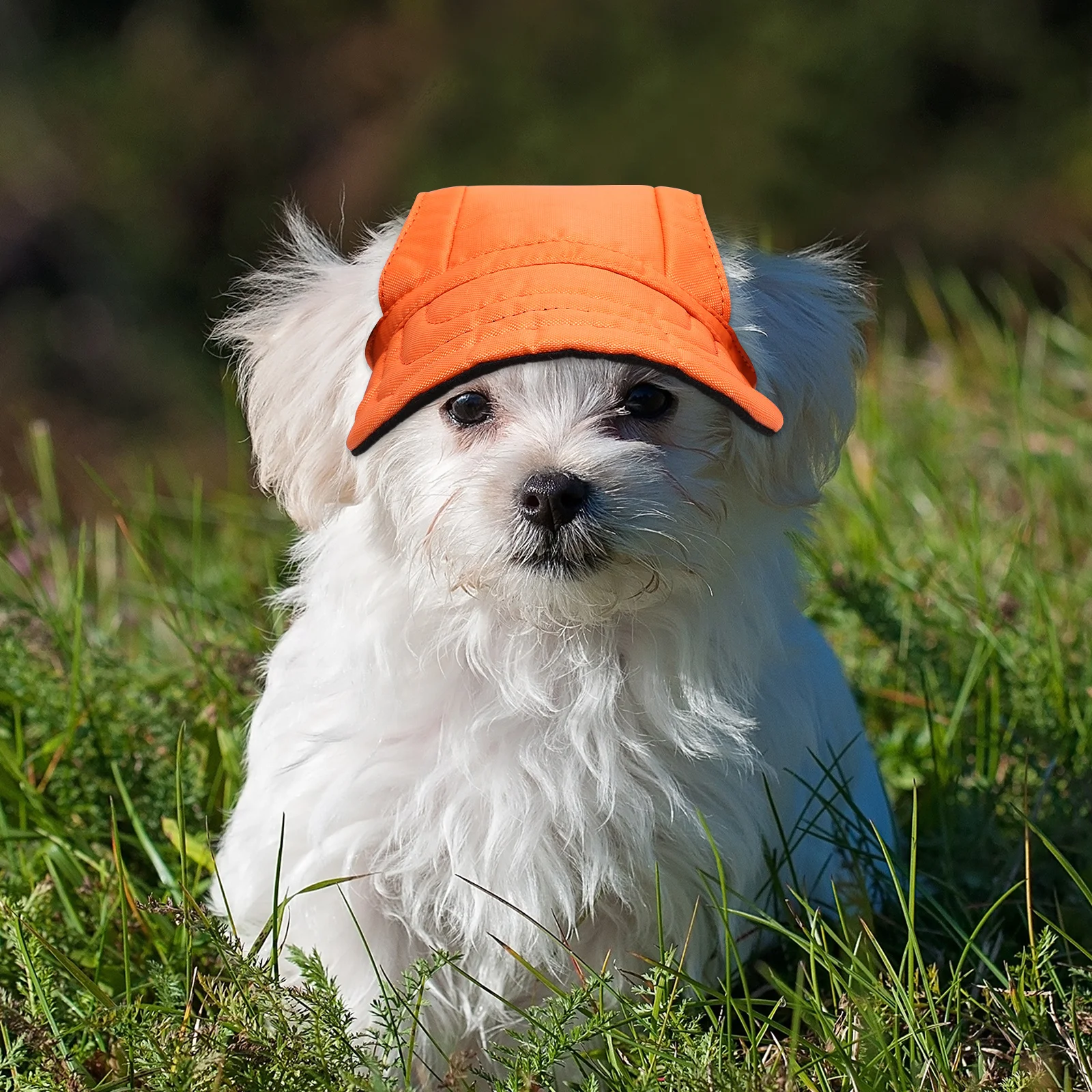 

Pet Baseball Hat Canvas Comfortable Sun Protection Hat for Dog Cat Outdoor Summer Puppy Headwear Puppy Headwear