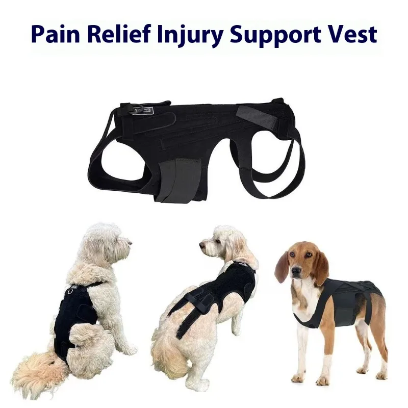 Dog Back Support Vest for Injury Protection Adjustable Spinal Brace Pet Mobility Aid Canine Rehabilitation Harness