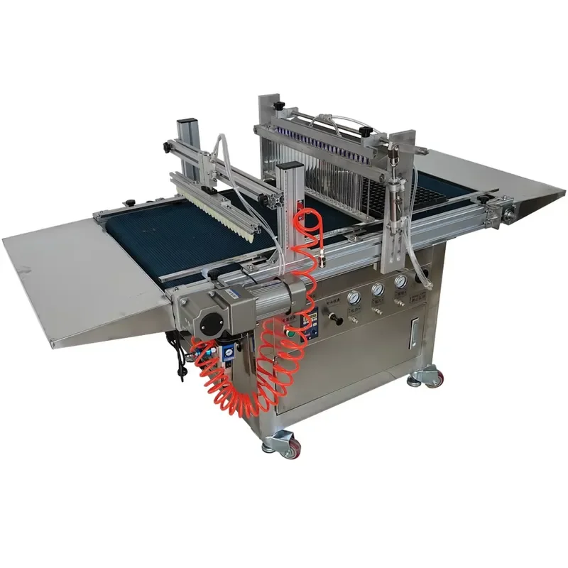 Automatic High Precision 98 Percent Seed Sowing Device for Tomato Seedling Sowing Machine 500 Plates Hour 12 Rows