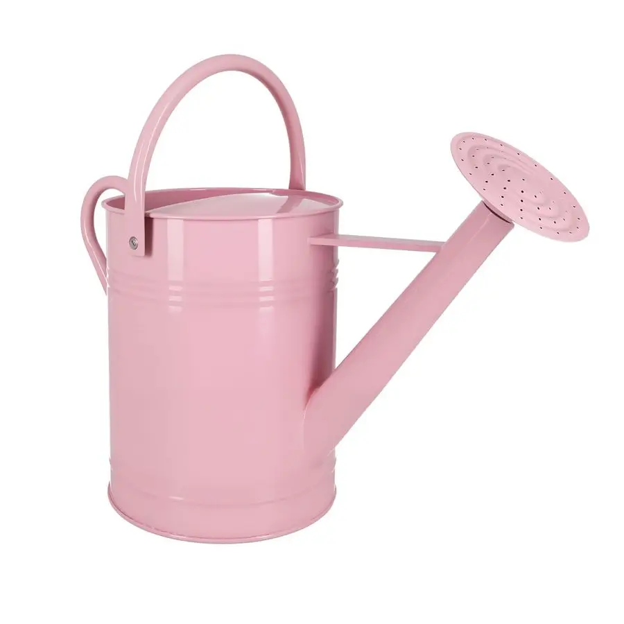 

Iron Watering Can for Indoor Plants, DIY Watering Cans for House Plant Garden Flower, Long Spout Water Can for Outdoor Watering