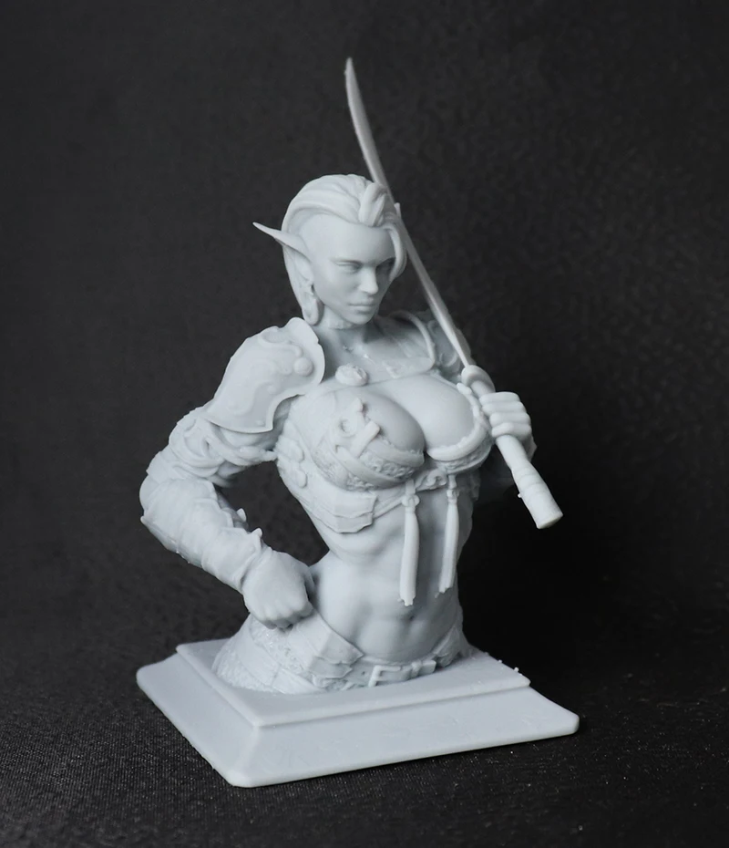 1/18 60mm Resin Model Female Warrior Woman Bust Figure Sculpture Unpaint No Color RW-762